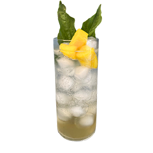 BESO DE MANGO